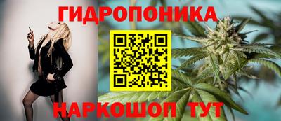 ECSTASY Моздок