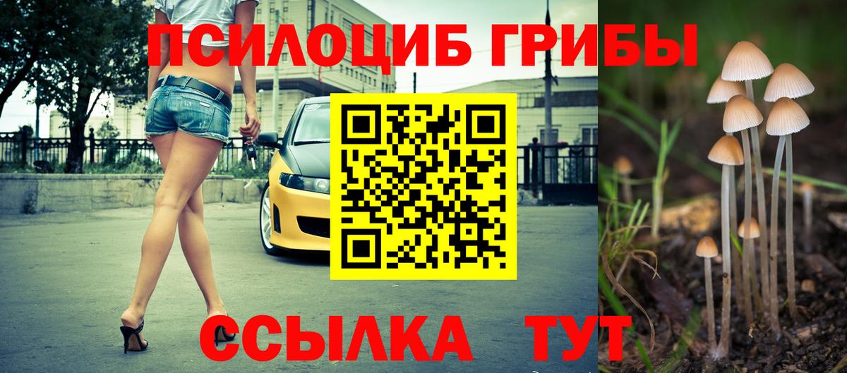 Галлюциногенные грибы GOLDEN TEACHER Бузулук