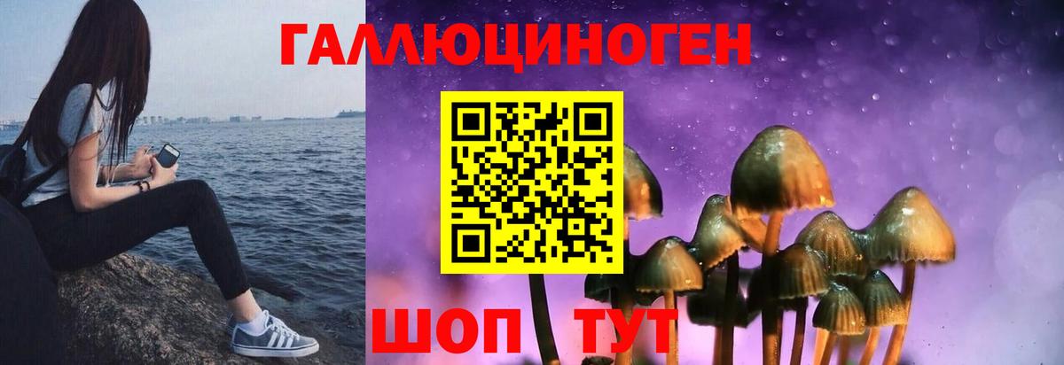Бузулук  Псилоцибиновые грибы Psilocybine cubensis  Вход с VPN  Псилоцибиновые грибы мухоморы 